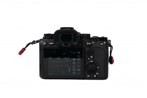 Sony a1 Mirrorless Camera